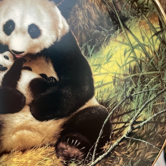 The Panda Will Nelson Vintage Last of Their Kind: The Endangered Species Plate - Picture 14 of 16